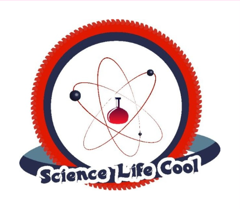 SOCIAL MEDIA PARTNERS sponsor